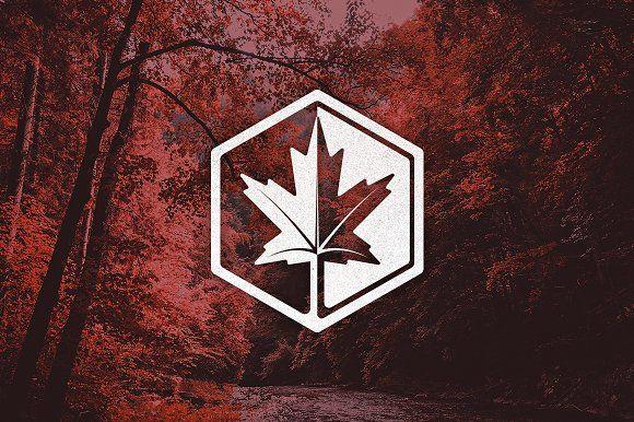 Maple Leaf Logo - Maple Leaf Logo ~ Logo Templates ~ Creative Market
