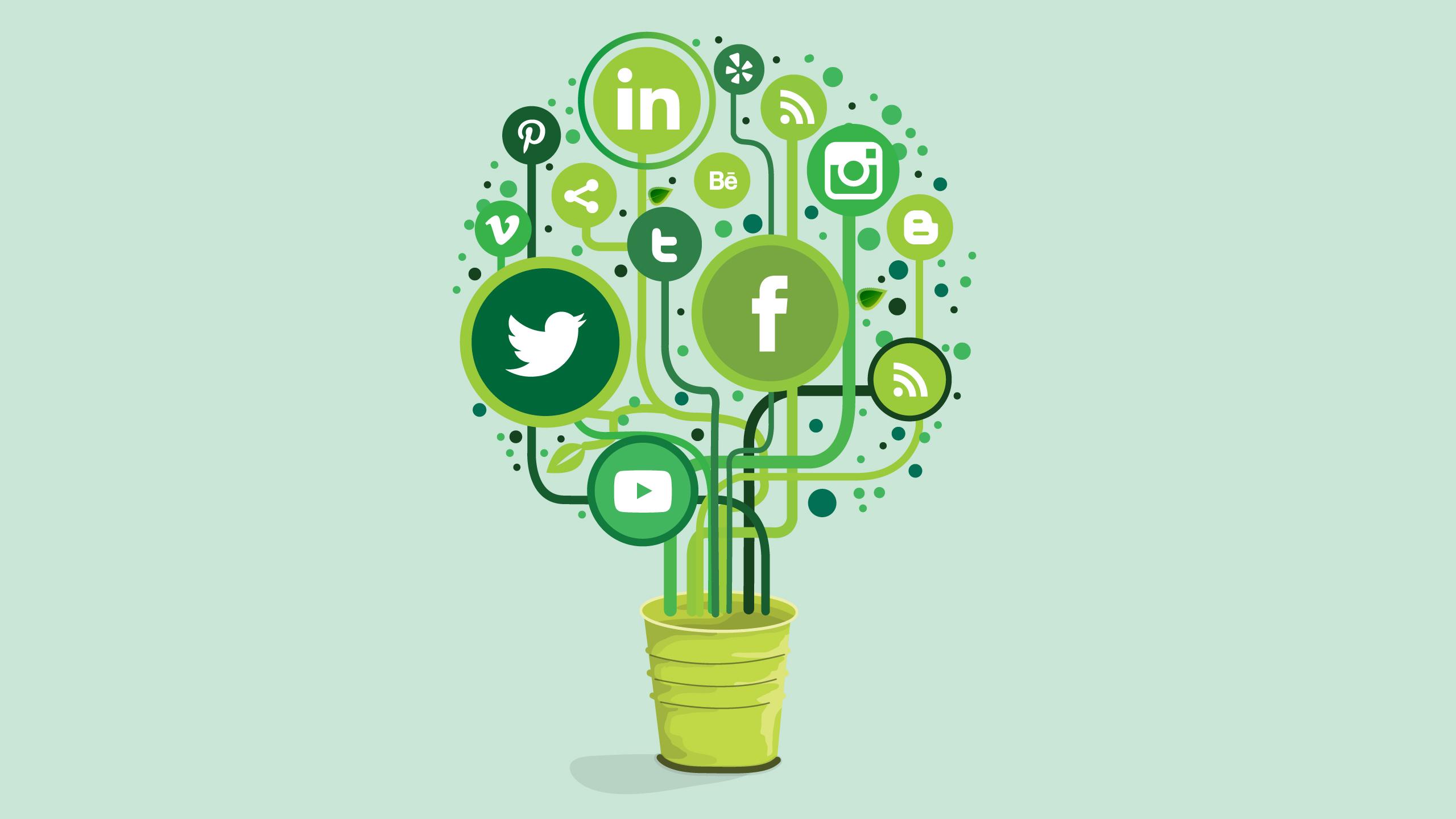 Social Media Green Logo - Social media success factors