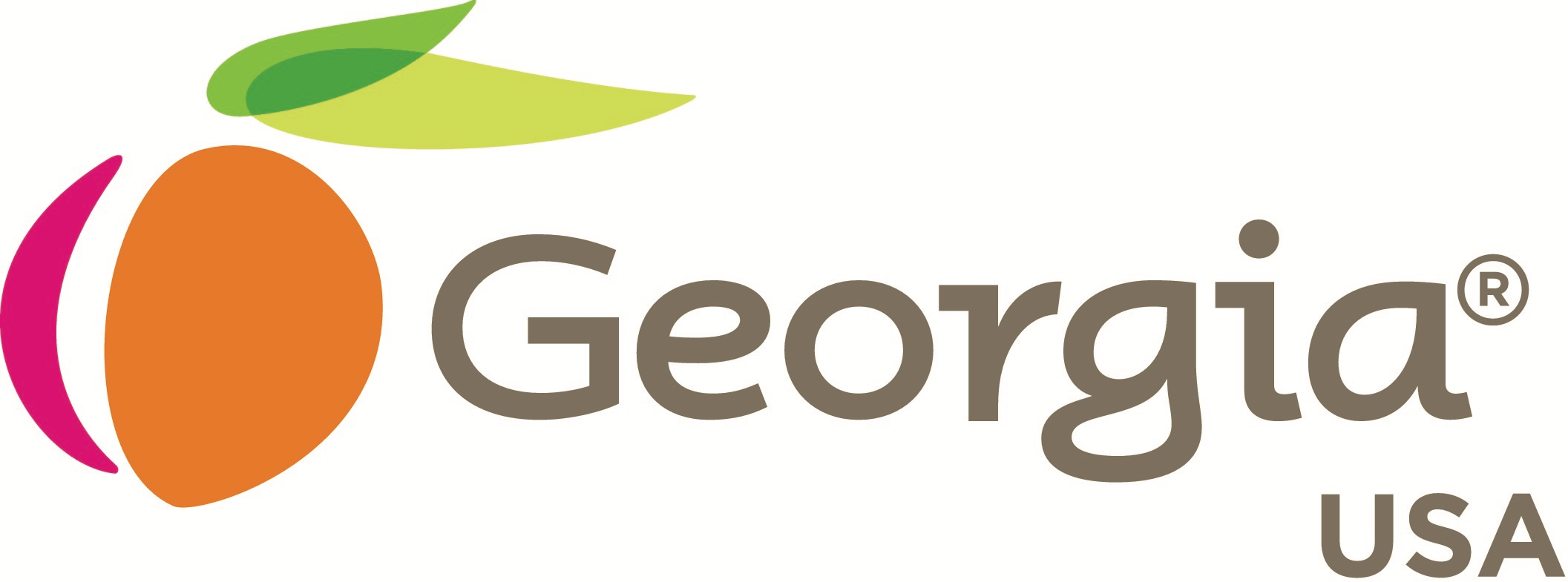 USA Georgia Logo - Georgia Centers for Innovation Logo.png. Institute for People