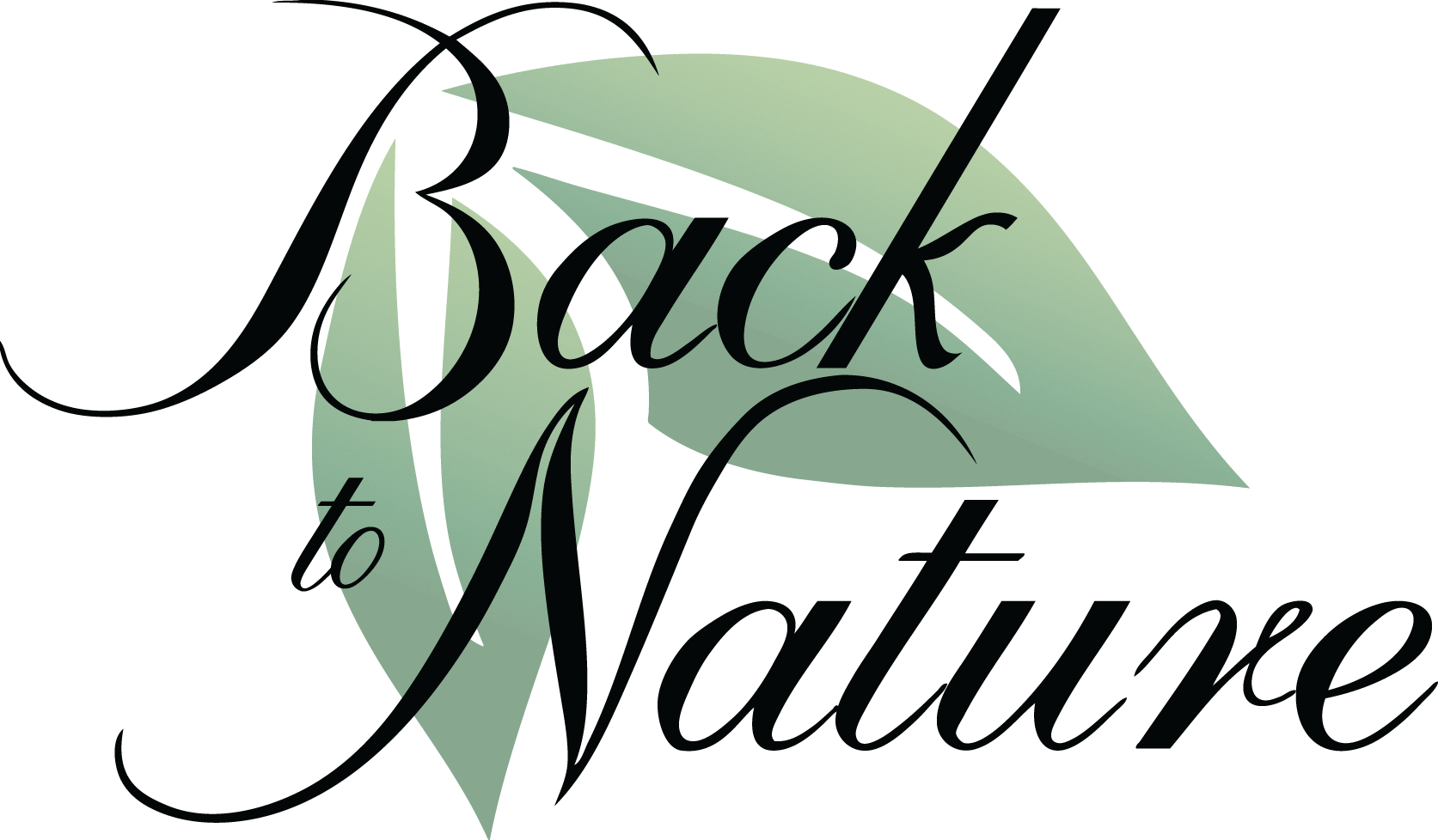 Back to Nature Logo - Social Entrepreneur Anthony Sblendorio, Founder of Back to Nature