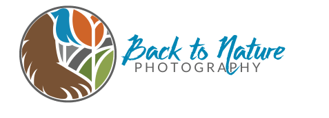 Back to Nature Logo - About Us To Nature Photography
