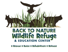Back to Nature Logo - Back to Nature Wildlife Refuge, Orlando FL Events