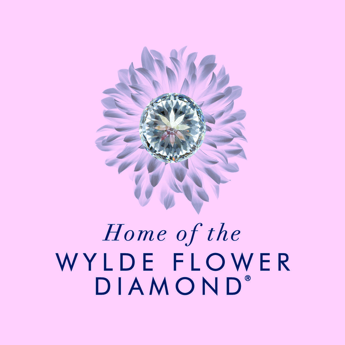 Flower and Diamonds Logo - THE WYLDE FLOWER DIAMOND® STORY - Nicholas Wylde