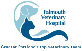 Animal Hospital Logo - Falmouth Veterinary Hospital in Falmouth, ME USA