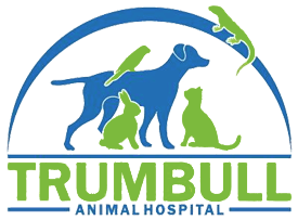 Animal Hospital Logo - Our Reviews | Trumbull Animal Hospital | Veterinarian in Trumbull, CT