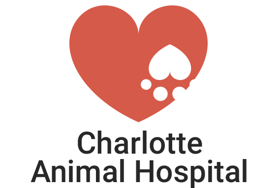 Animal Hospital Logo - Contact Charlotte Animal Hospital, Veterinarian in Port Charlotte FL