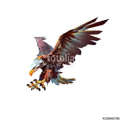 Attacking Bird Logo - attacking bird eagle on a white background