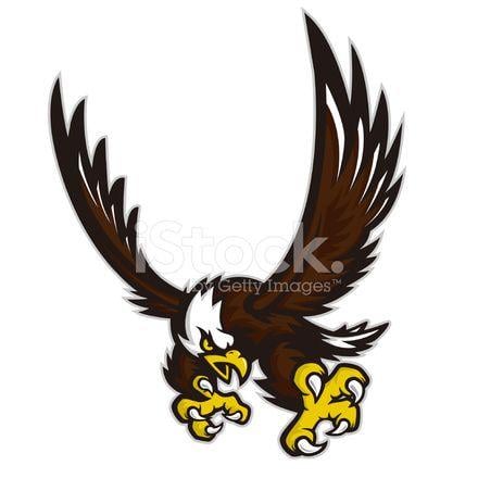 Attacking Bird Logo - Eagle Attack Stock Vector - FreeImages.com