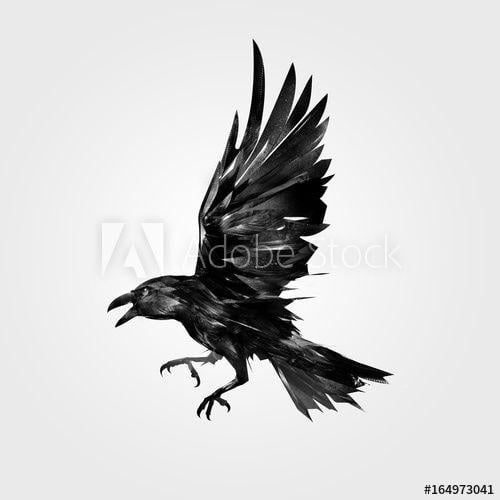 Attacking Bird Logo - Drawn isolated the attacking bird Raven - Buy this stock ...