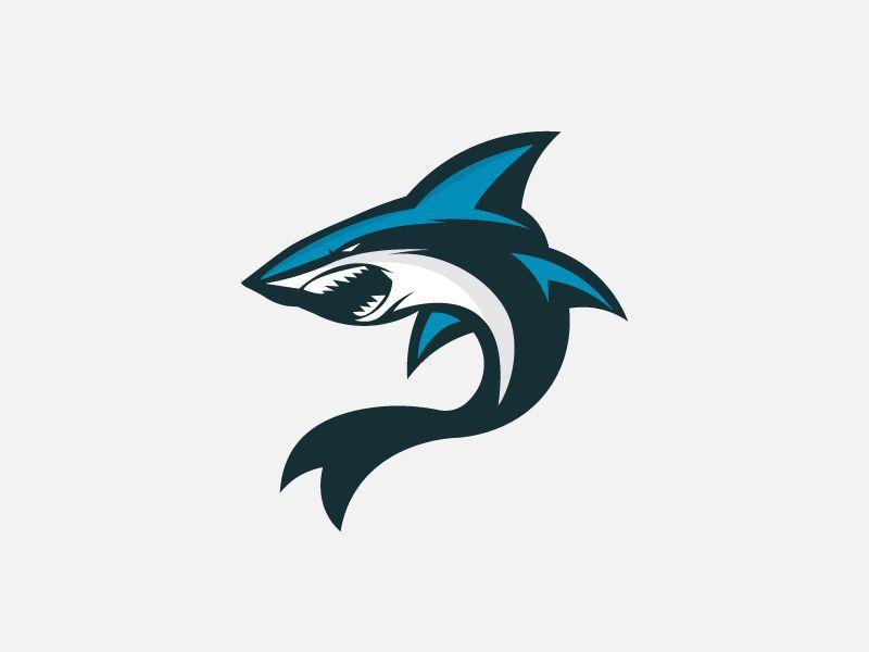 Shark Logo - Shark logo by Naveed | Dribbble | Dribbble