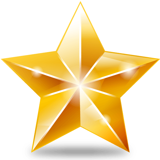 R and a Yellow Star Logo - Bibliography
