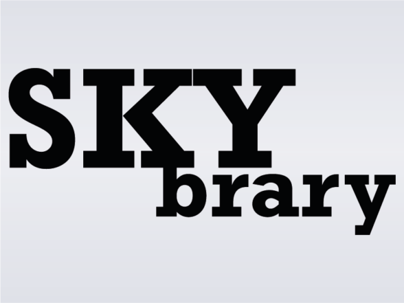 Air Safety Logo - SKYbrary - Flight Safety Foundation