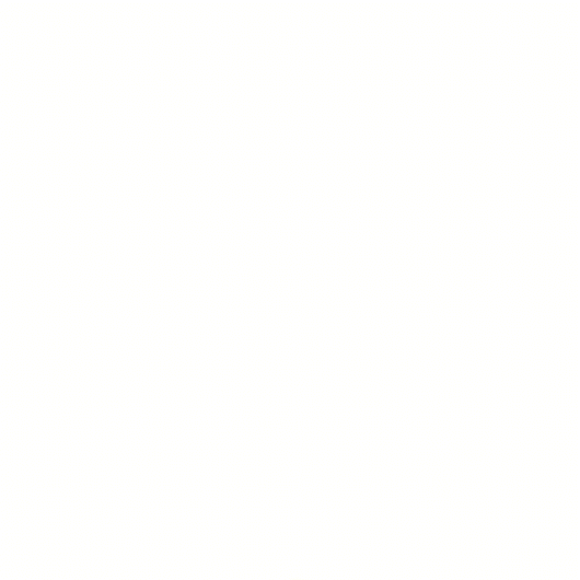 White Google Plus Logo - phyllis levine+