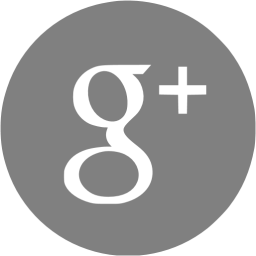 White Google Plus Logo - Gray google plus 4 icon - Free gray social icons