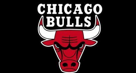 Famous Bull Logo - LOOK: The new Buffalo Bulls logo looks a lot like one from a famous ...