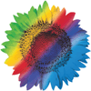 Rainbow Sunflower Logo - Rainbow logos