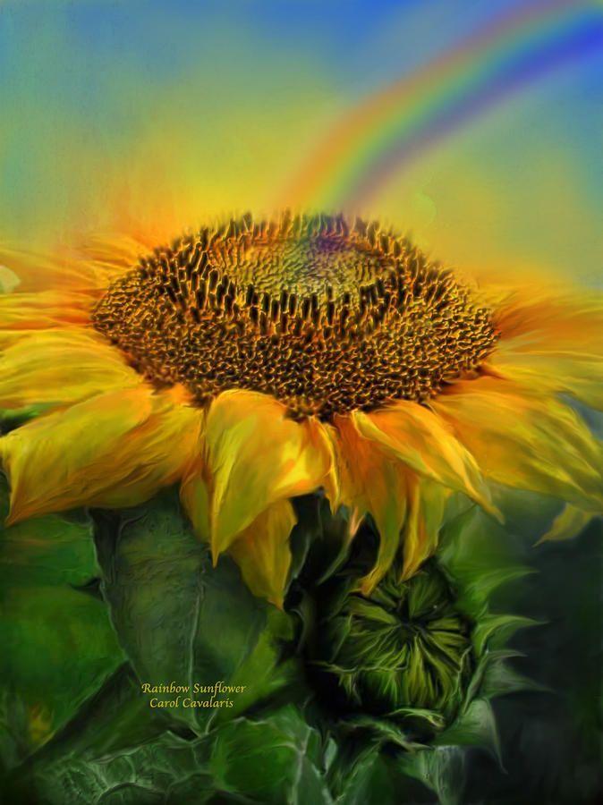 Rainbow Sunflower Logo - Rainbow Sunflower Mixed Media by Carol Cavalaris | Sunflowers ...