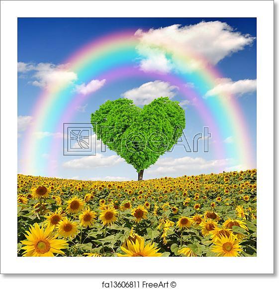 Rainbow Sunflower Logo - Free art print of Rainbow above the sunflower field. Rainbow above ...