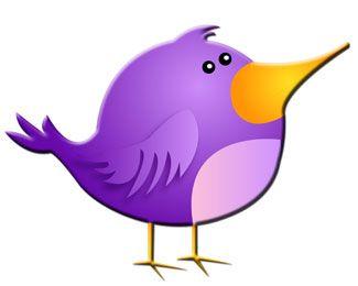 Purple Bird Logo - Purple Bird Designed