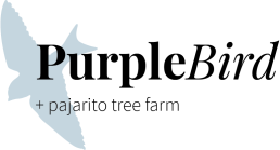 Purple Bird Logo - Purple Bird