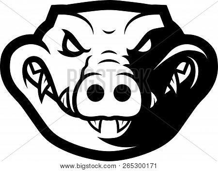 Alligator Face Logo - 