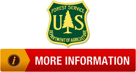 Green Yellow Shield Logo - Yellow Green US Forest Service Shield Shaped Sticker forestry