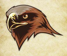 Brown Hawk Logo - 109 Best Hawks-Falcons Logos images in 2019 | Falcon logo, Falcons ...
