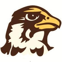 Brown Hawk Logo - Quincy Hawks