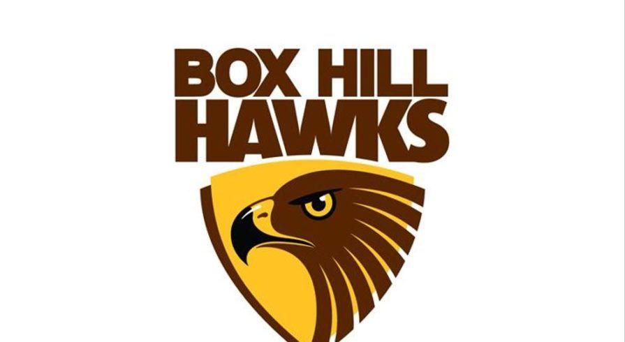 Brown Hawk Logo - Sports Trainer Opportunity-Box Hill Hawks - AFL Victoria