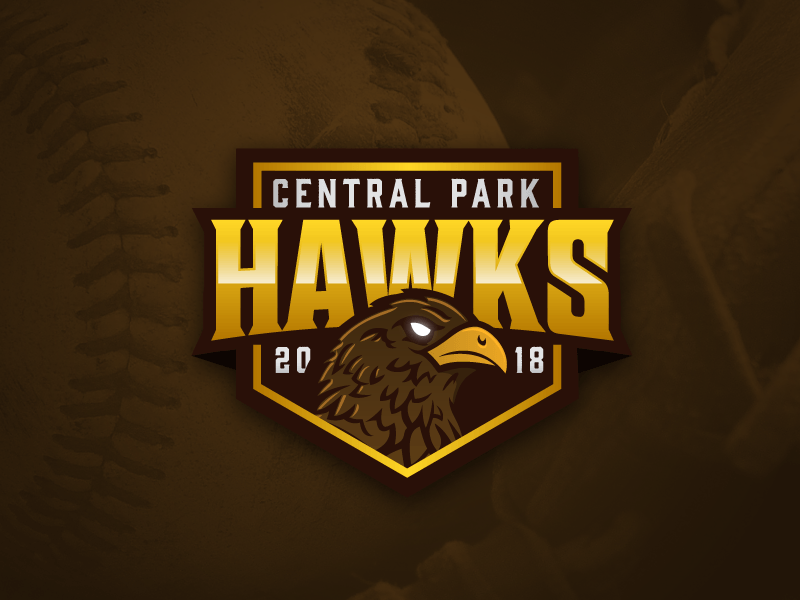 Brown Hawk Logo - Central Park Hawks Logo Concept by AlmonteDesigns | Dribbble | Dribbble