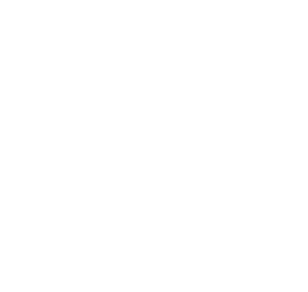 Lions Club Logo - Donate Lions Club