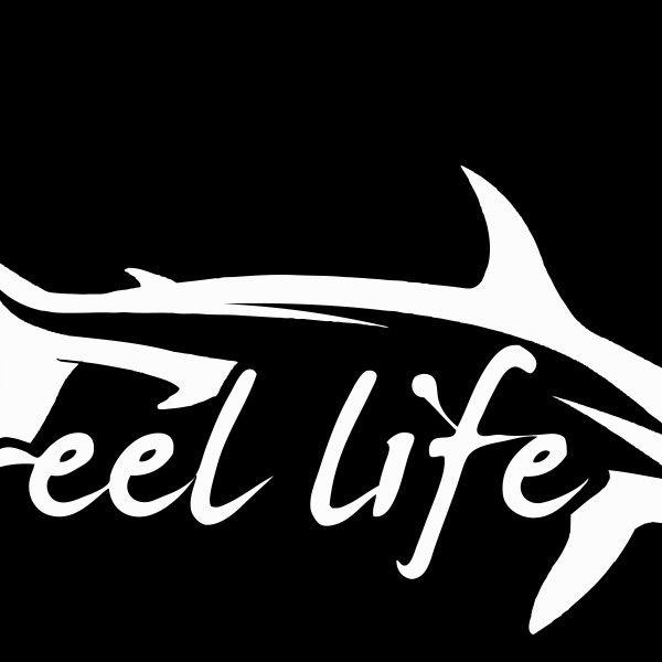 Hammerhead Shark Logo - Hammerhead Shark Decal - 11 inch - Always An Adventure