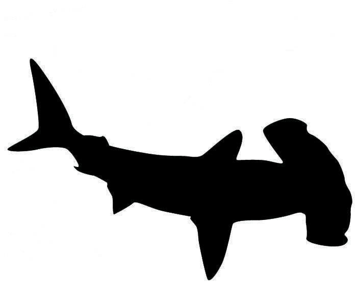 Hammerhead Shark Logo - Gabe. Shark silhouette, Shark, Hammerhead shark