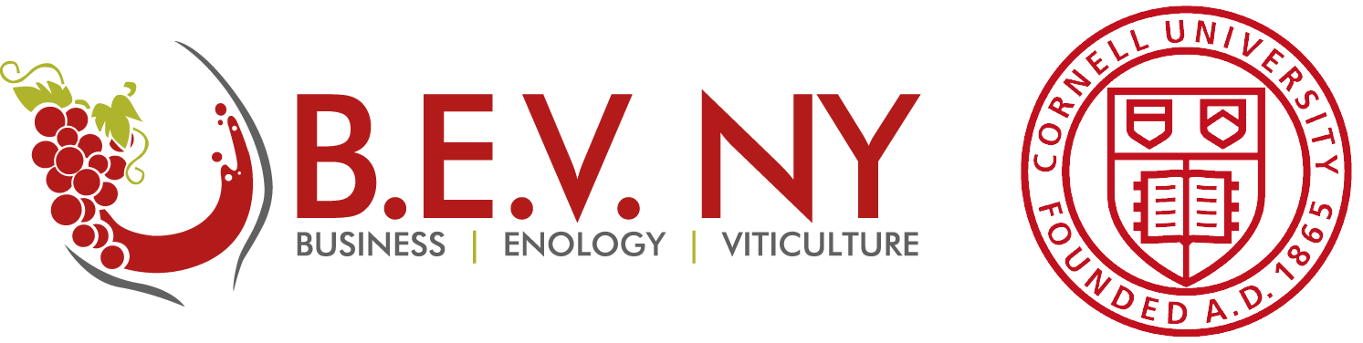 Painted Red V Logo - B.E.V. NY