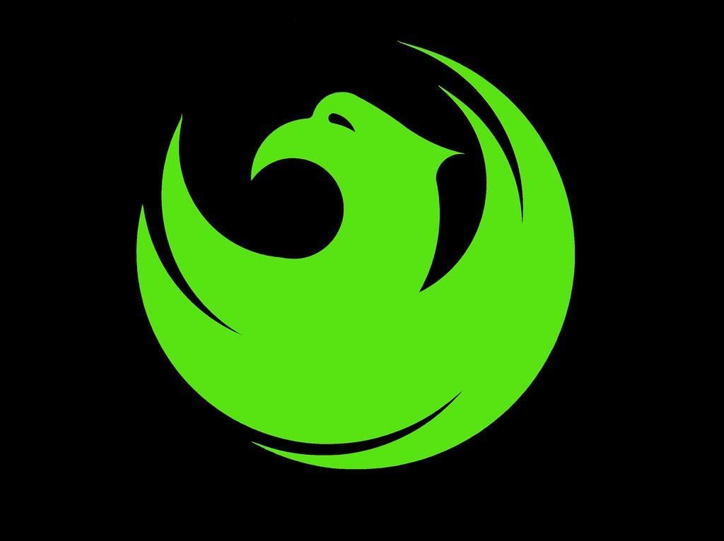 Bird with Green Circle Logo - green bird. Ms. Phoenix