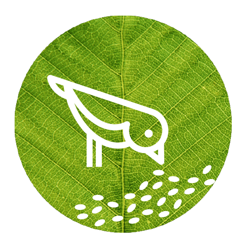 Bird with Green Circle Logo - Grow tasty food for birds