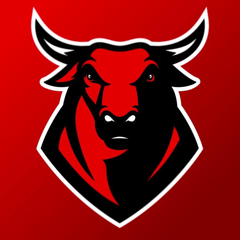 Bulls Logo - Chicago Bulls logo concept on Behance