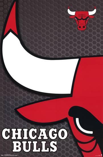 Bulls Logo - Chicago Bulls - Logo 14 Posters at AllPosters.com