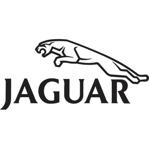 Jaguar Logo - Jaguar Decal Sticker - JAGUAR-LOGO-DECAL | Thriftysigns