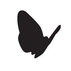 Black Butterfly Logo - Black Butterfly Productions - Video/Film Production - 6635 E ...