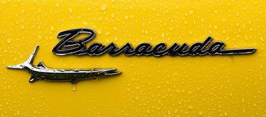 Plymouth Barracuda Logo - Plymouth Barracuda | Classic Manufacturer Logos | Plymouth barracuda ...