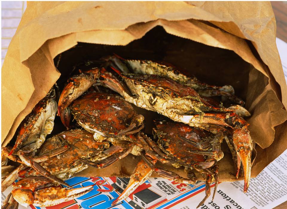 Baltimore Crab Logo - Best Places to Eat Steamed Crabs in Baltimore