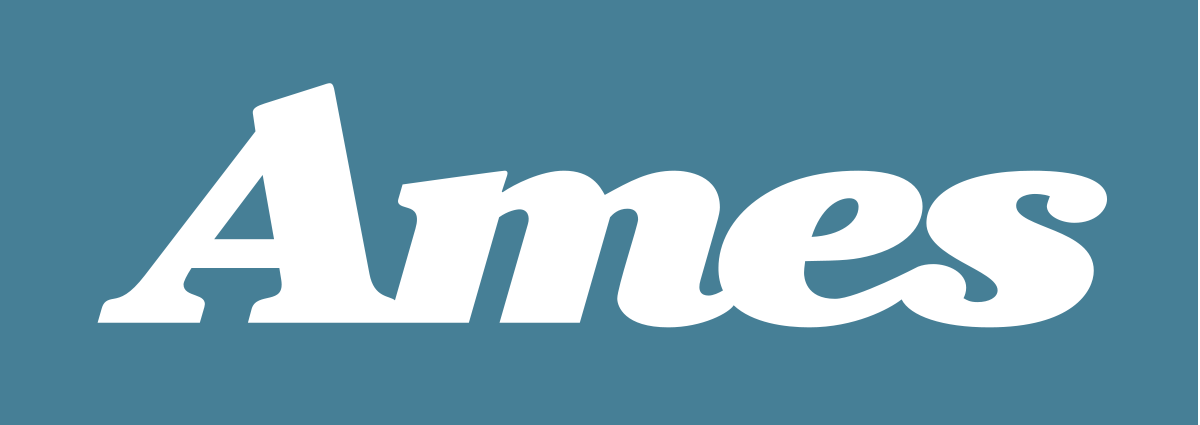 Blue Store Logo - Ames (store)