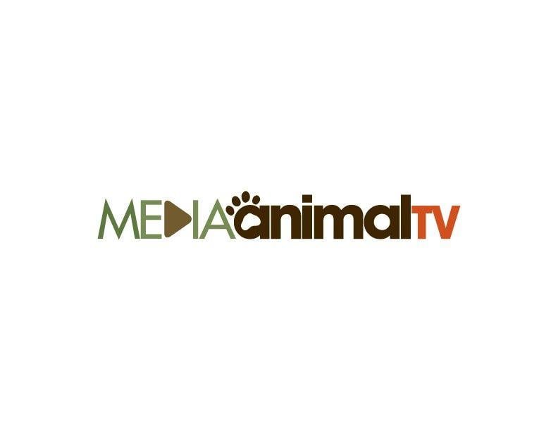 Strong TV Logo - Create a strong logo for Media Animal TV- an online Australian