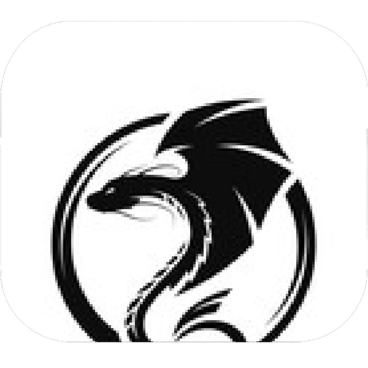 Dragon in Circle Logo - Designs – Mein Mousepad Design – Mousepad selbst designen