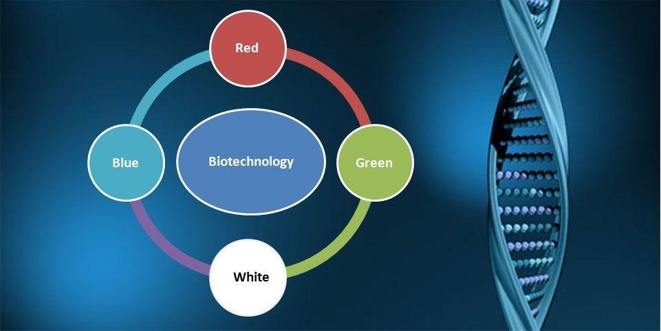 Red White Blue Green Logo - Color Code of Biotechnology