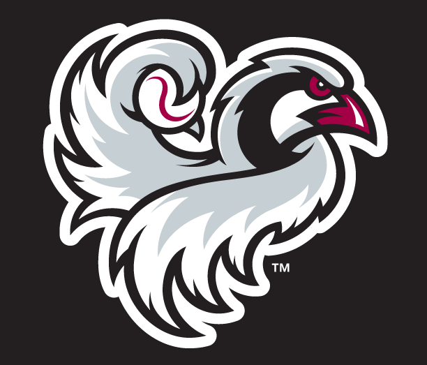 Rochester Red Birds Logo - Ten High in the Sky Bird Logos