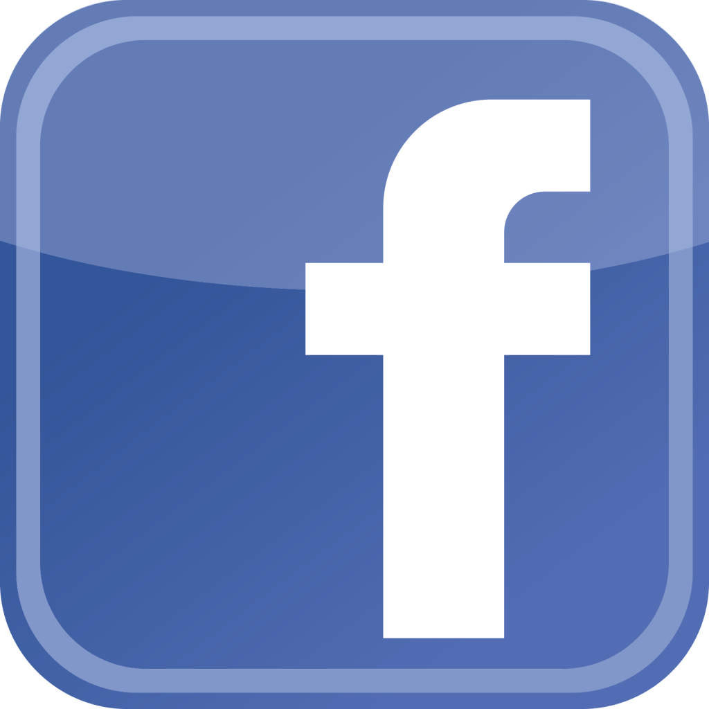 Facebook Offical Logo - MatzohBall 5k