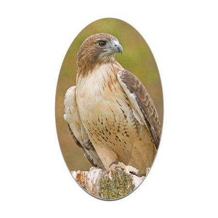 Profile with Red Oval Logo - CafePress - Profile Of A Red Tailed Hawk - Sticker (Oval) - Walmart.com