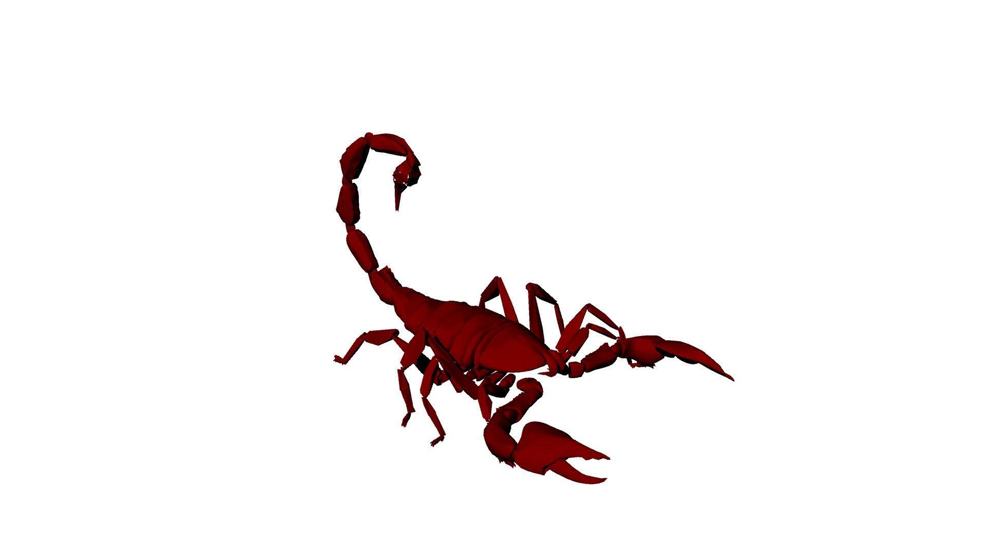 White with Red Circle Scorpion Logo - White Scorpion Logo Red Circle